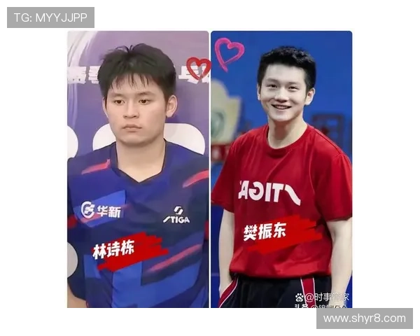 林诗栋跌第三张本追召回樊振东