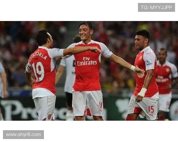 楚阿梅尼伤情严重 塞瓦略斯落选因技术因素